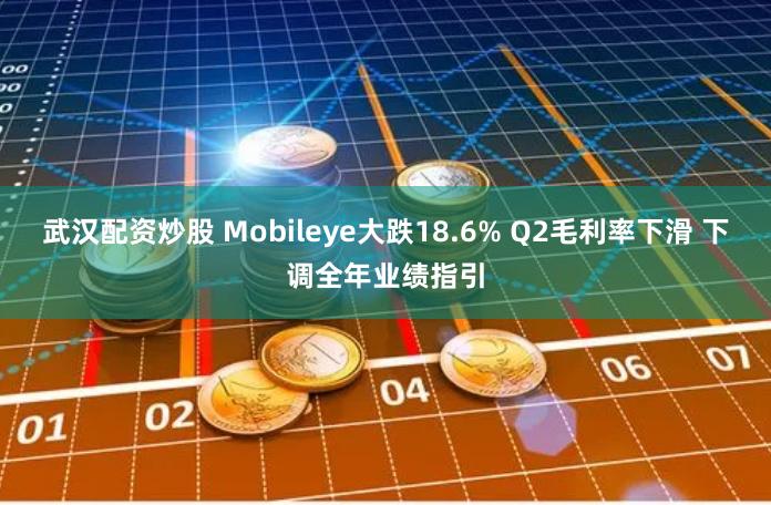 武汉配资炒股 Mobileye大跌18.6% Q2毛利率下滑 下调全年业绩指引