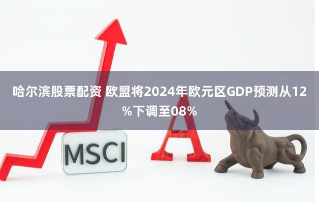 哈尔滨股票配资 欧盟将2024年欧元区GDP预测从12%下调至08%