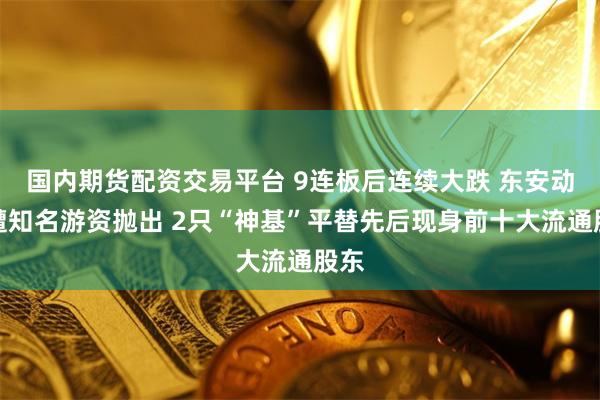 国内期货配资交易平台 9连板后连续大跌 东安动力遭知名游资抛出 2只“神基”平替先后现身前十大流通股东